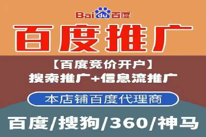 谷歌竞价广告的实时监控与调整策略——某公司经验分享